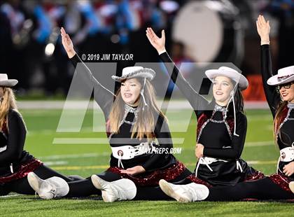 Thumbnail 2 in Hirschi @ Mineral Wells photogallery.