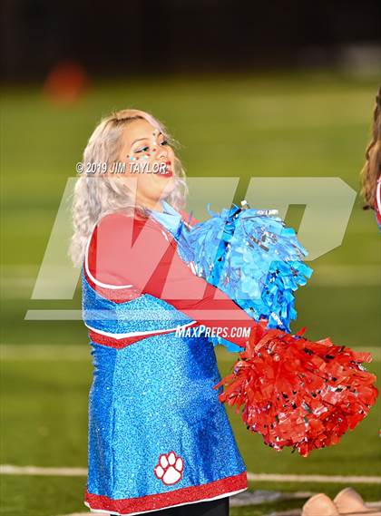 Thumbnail 1 in Hirschi @ Mineral Wells photogallery.