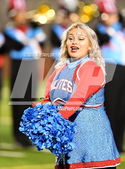 Thumbnail 3 in Hirschi @ Mineral Wells photogallery.