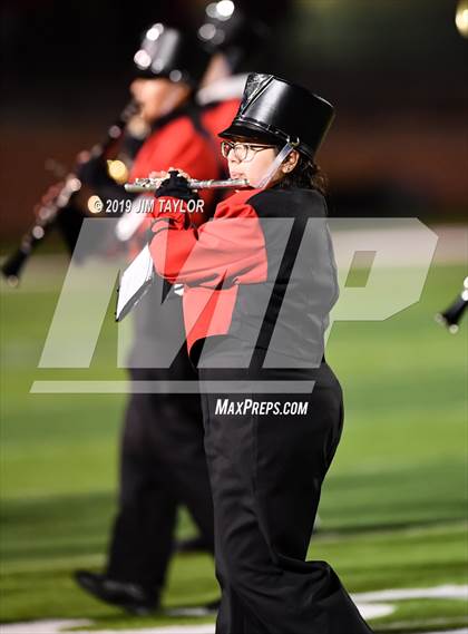 Thumbnail 1 in Hirschi @ Mineral Wells photogallery.