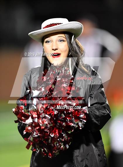 Thumbnail 1 in Hirschi @ Mineral Wells photogallery.