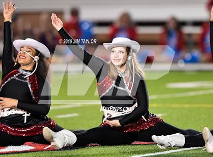 Thumbnail 1 in Hirschi @ Mineral Wells photogallery.