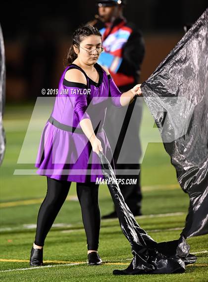 Thumbnail 1 in Hirschi @ Mineral Wells photogallery.