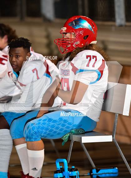 Thumbnail 3 in Hirschi @ Mineral Wells photogallery.