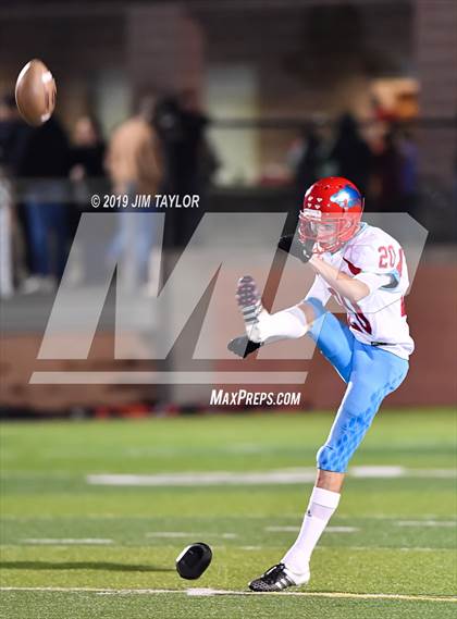 Thumbnail 1 in Hirschi @ Mineral Wells photogallery.