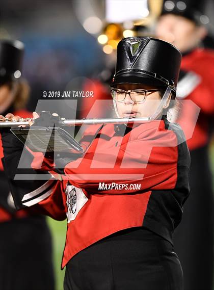 Thumbnail 1 in Hirschi @ Mineral Wells photogallery.