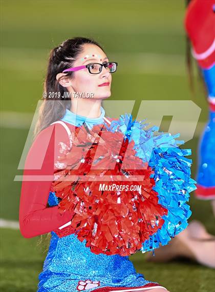 Thumbnail 1 in Hirschi @ Mineral Wells photogallery.