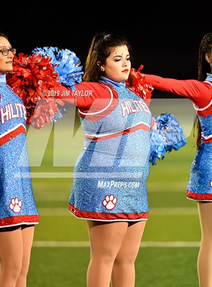 Thumbnail 2 in Hirschi @ Mineral Wells photogallery.