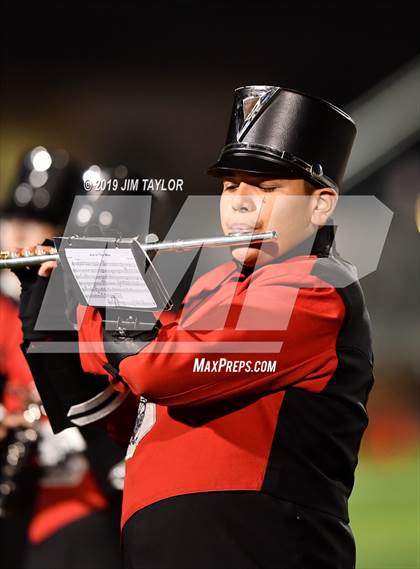 Thumbnail 1 in Hirschi @ Mineral Wells photogallery.
