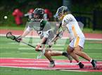 Photo from the gallery "Northwest Catholic vs. Weston (CIAC Class S Final)"