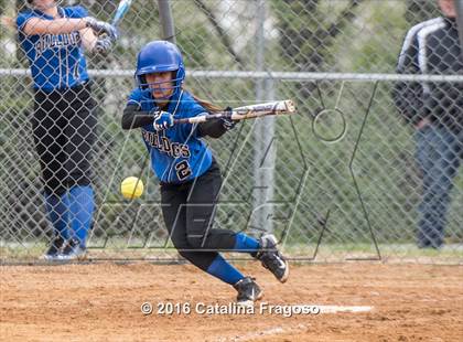 Thumbnail 1 in Passaic County Tech vs. Wayne Valley photogallery.
