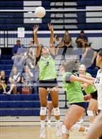 Photo from the gallery "Fremont @ Ridgeline"