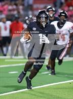 Photo from the gallery "Terry @ Randle"