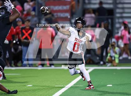 Thumbnail 2 in Terry @ Randle photogallery.