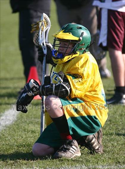 Thumbnail 3 in Williamsville North @ Orchard Park photogallery.