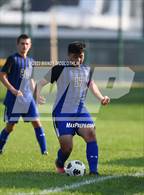 Photo from the gallery "Pekin @ Limestone"