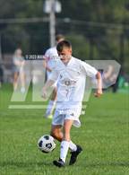 Photo from the gallery "Pekin @ Limestone"