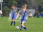 Photo from the gallery "Pekin @ Limestone"