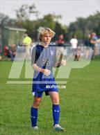 Photo from the gallery "Pekin @ Limestone"