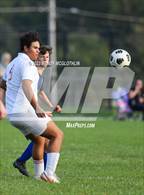 Photo from the gallery "Pekin @ Limestone"