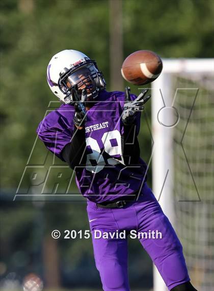 Thumbnail 2 in Lexington @ Northeast  photogallery.
