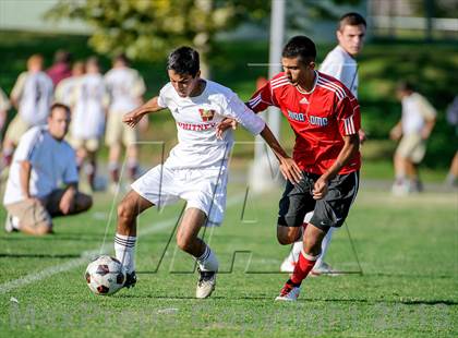 Thumbnail 1 in Mira Loma @ Whitney photogallery.