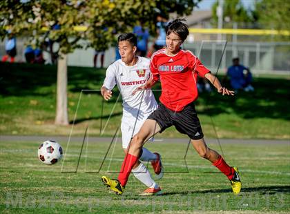 Thumbnail 1 in Mira Loma @ Whitney photogallery.