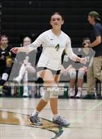Photo from the gallery "Desert Ridge @ Basha"