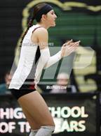 Photo from the gallery "Desert Ridge @ Basha"