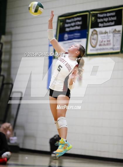 Thumbnail 3 in JV: Desert Ridge @ Basha photogallery.