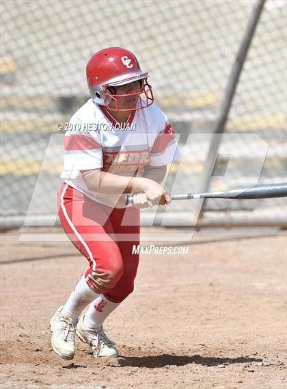 Thumbnail 2 in Mountain View vs. Cathedral Catholic (Michelle Carew Classic) photogallery.