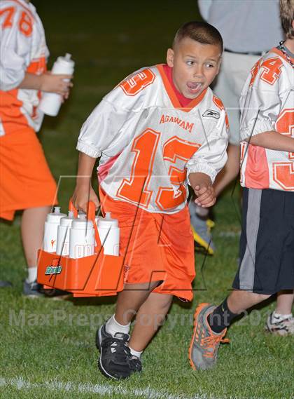 Thumbnail 3 in Longmeadow @ Agawam photogallery.
