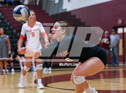Thumbnail 1 in Pilot Point vs. Whitesboro photogallery.