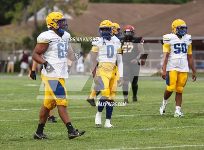 Thumbnail 2 in Auburndale vs Lake Gibson (Spring Game) photogallery.