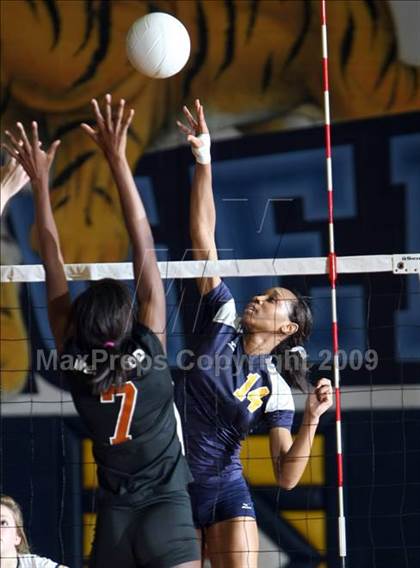 Thumbnail 3 in Westwood @ Stony Point photogallery.