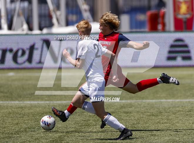 null - Photo 01