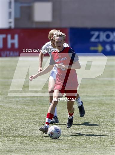 null - Photo 11
