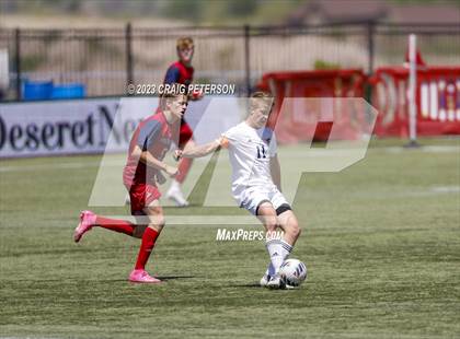 Thumbnail 1 in Crimson Cliffs vs. Mountain Crest (UHSAA 4A Semifinal) photogallery.