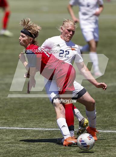 null - Photo 21