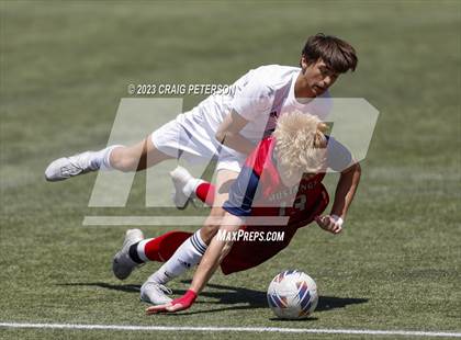 Thumbnail 2 in Crimson Cliffs vs. Mountain Crest (UHSAA 4A Semifinal) photogallery.