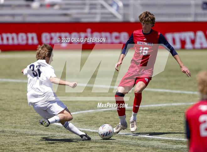 null - Photo 01