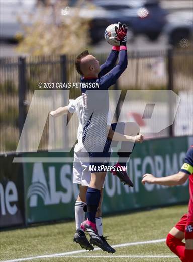 null - Photo 21