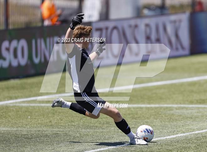 null - Photo 81