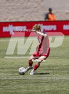 Photo from the gallery "Crimson Cliffs vs. Mountain Crest (UHSAA 4A Semifinal)"