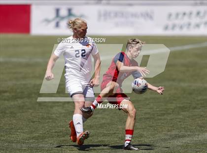 Thumbnail 1 in Crimson Cliffs vs. Mountain Crest (UHSAA 4A Semifinal) photogallery.