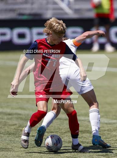 null - Photo 31