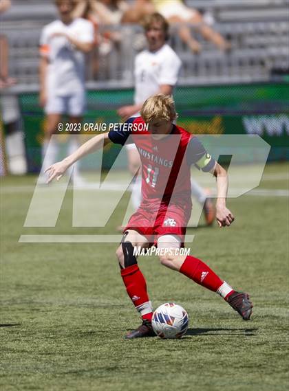 Thumbnail 2 in Crimson Cliffs vs. Mountain Crest (UHSAA 4A Semifinal) photogallery.