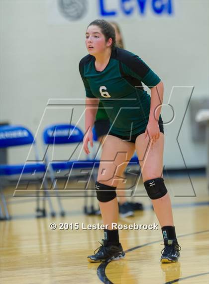 Thumbnail 1 in Marion @ Bandera photogallery.