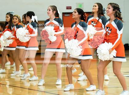 Thumbnail 1 in Inderkum @ Woodland photogallery.