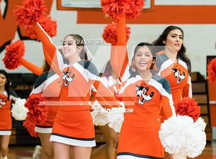 Thumbnail 2 in Inderkum @ Woodland photogallery.